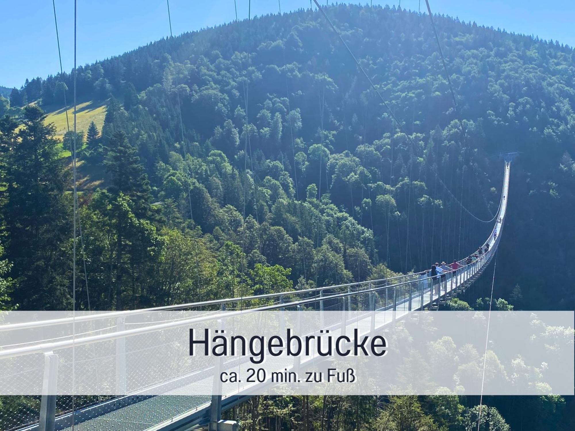 Baechle Im Wanderparadies Balkon Mit Blick Auf Den Bach Sauna Im Haus Tiefgarage E-Ladestation Тодтнауберг Экстерьер фото